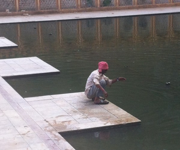 Katzenwäsche im Monkey Tempel